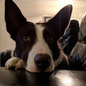 Meet your Posher, Ashley